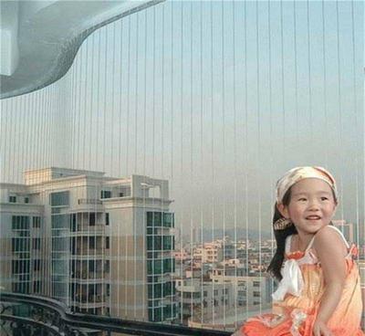 智能隱形防護(hù)網(wǎng)鋼絲